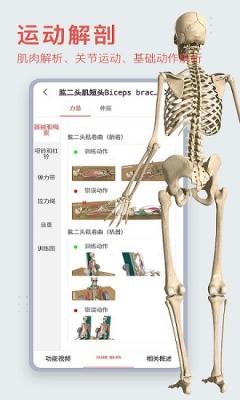 3dbody解剖v8.6.60图3