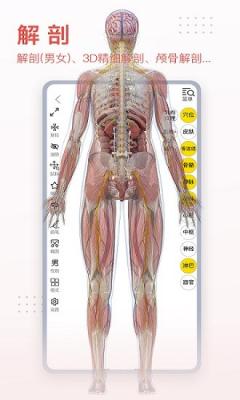 3dbody解剖.jpg