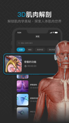3D肌肉解剖v1.0图1